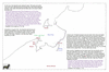mag34 brunei_thumb.gif